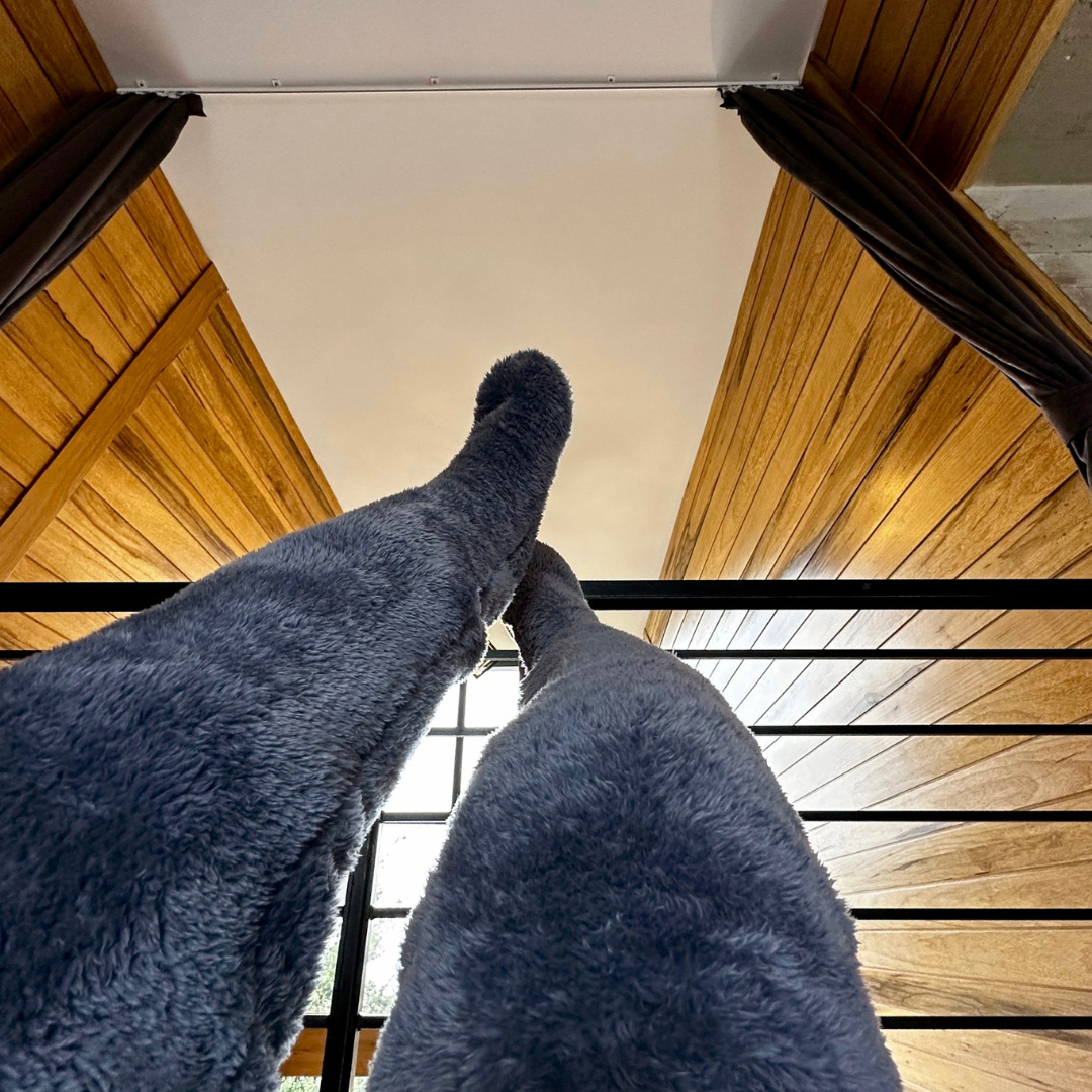 SNUGRRS™ Teddy Legs